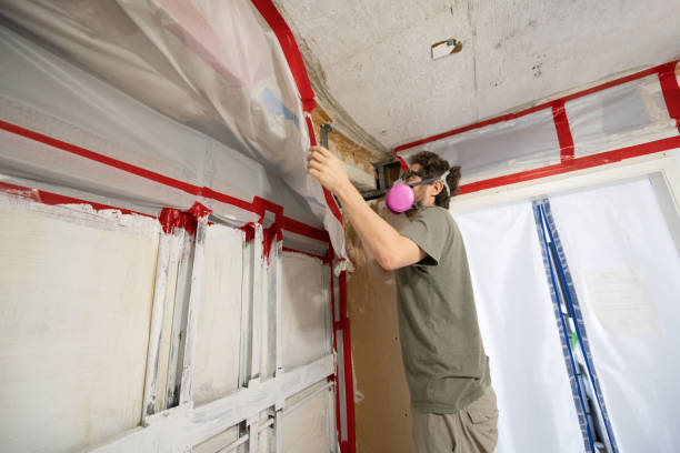 Best Mold Removal for HVAC Installations  in Burlington, IA